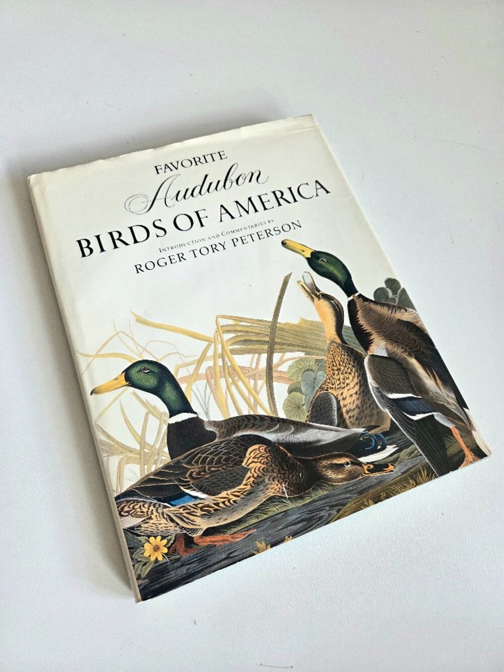 Favorite Audubon Birds of America by Roger Tory Peterson Hard Cover Book